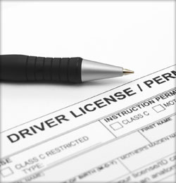 Provisional Licence Application